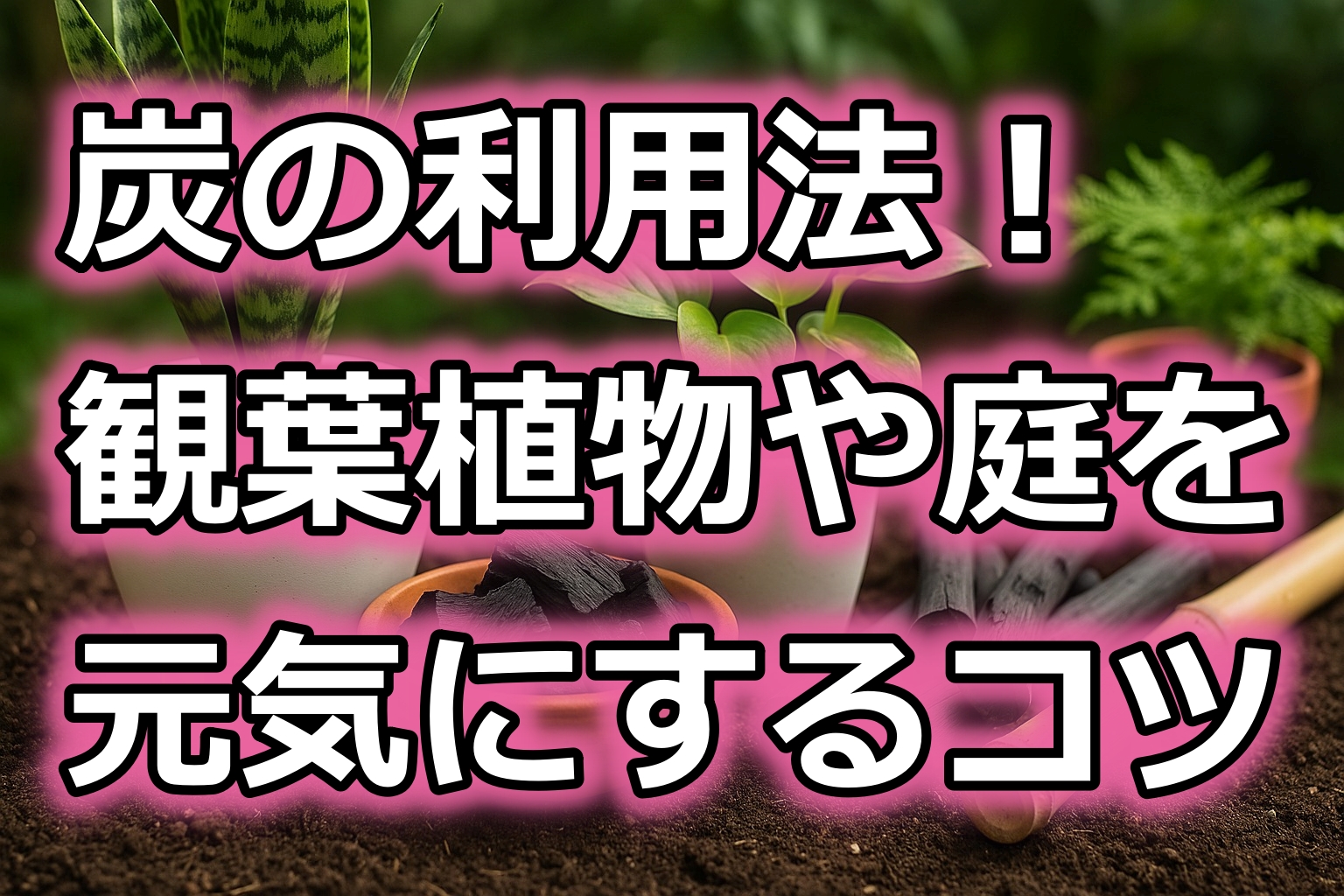 炭の利用法！ガーデニングで観葉植物や庭を元気にするコツ